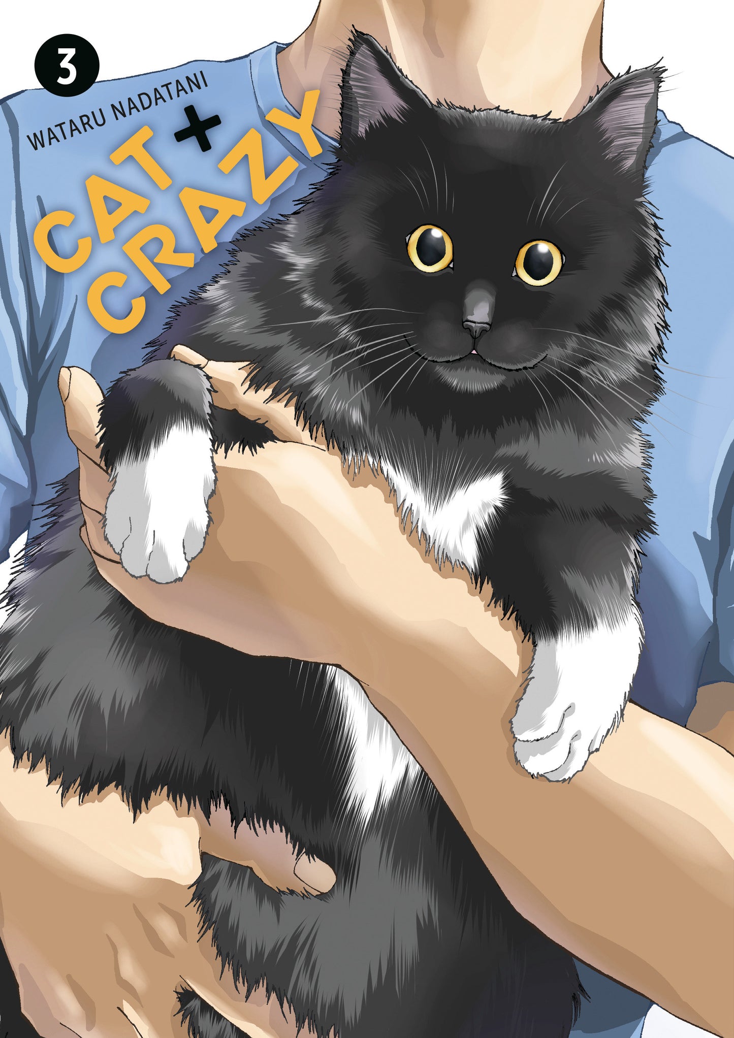 Cat + Crazy Volume 3